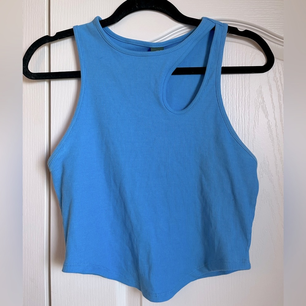Wild Fable Crop Top